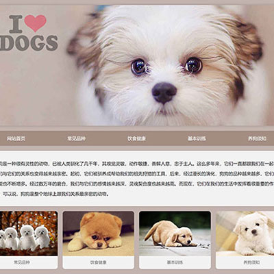 学生宠物主题网页设计 静态HTML狗狗网页设计作品