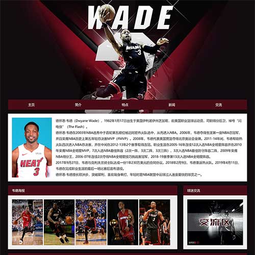 大学生体育运动网页设计 篮球NBA网页制作