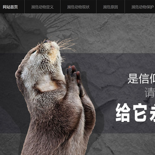 大学生保护濒危动物网页制作 动物保护主题网页设计作品