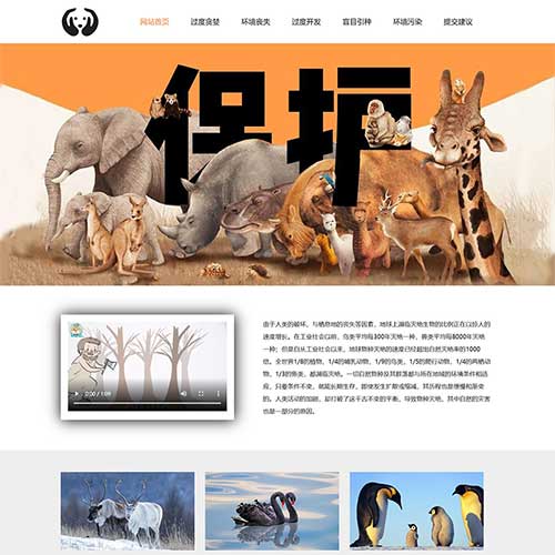 大学生动物保护网页设计 学生保护动物网页制作成品 